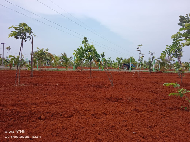  9600 Sq.ft. Residential Plot for Sale in Mathurathagam Chengalpattu