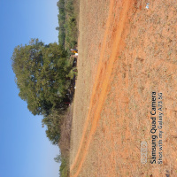  Agricultural Land for Sale in Kuduregere Colony, Bangalore