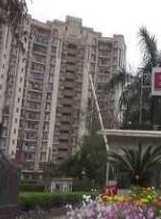 2 BHK Flat for Rent in MG Road