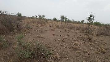  Agricultural Land for Sale in Sojat, Pali