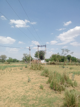  Agricultural Land for Sale in Kotputli, Jaipur