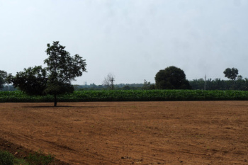  Agricultural Land for Sale in Delhi Road, Jaipur