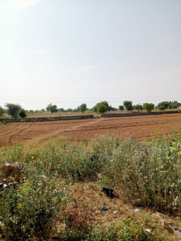  Agricultural Land for Sale in Shahpura, Jaipur