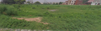  Residential Plot for Sale in Aerocity, Mohali