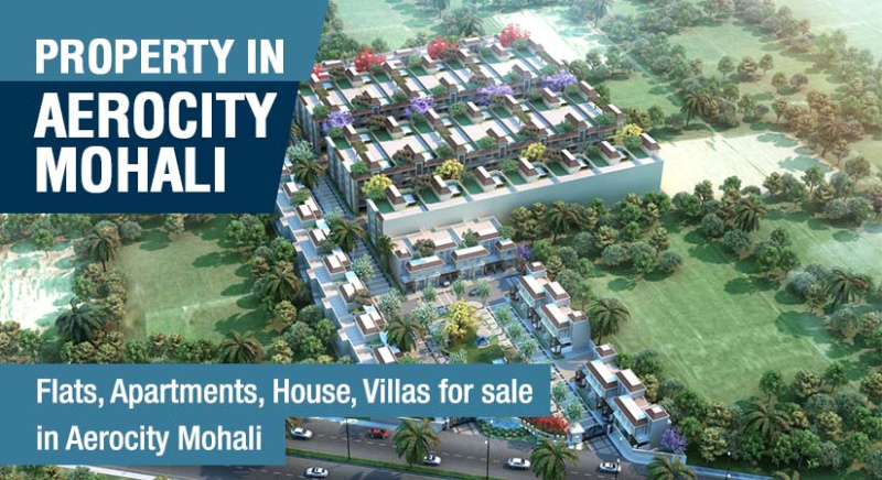 Aerocity, Mohali photo 5