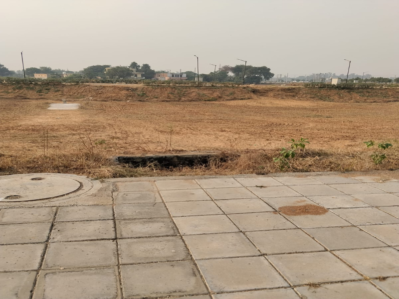 Sector 19, Dharuhera photo 3