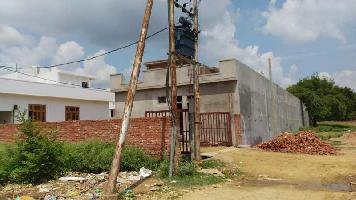  Residential Plot for Sale in Thasemau, Lucknow