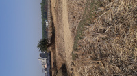 Agricultural Land for Sale in Shantiniketan, Birbhum,