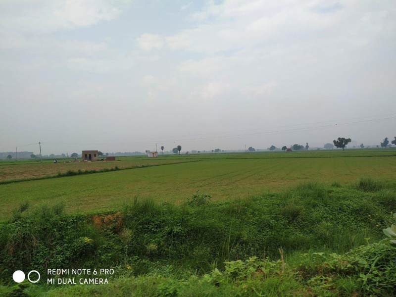Industrial Land for Sale in Badli, Jhajjar (REI1165178)