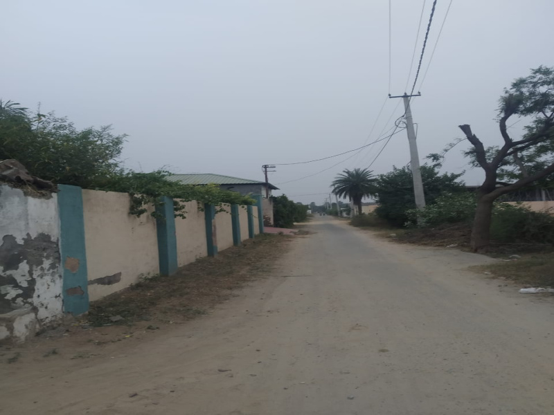  Agricultural Land 4840 Sq. Yards for Sale in Aklimpur, Gurgaon