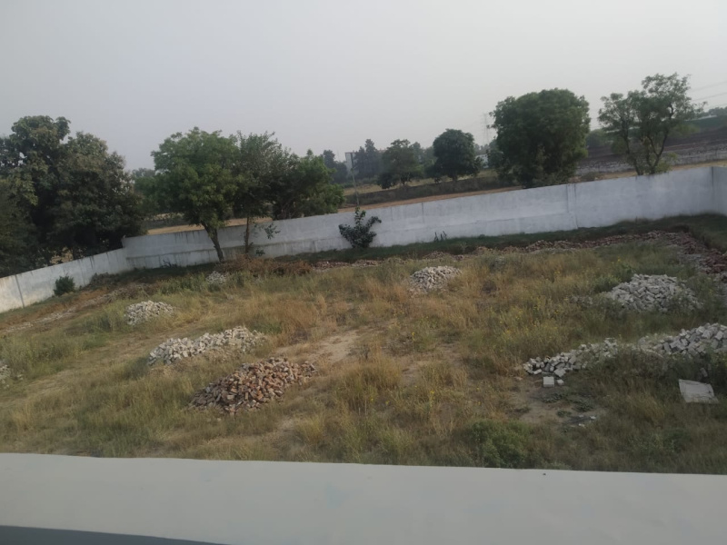  Residential Plot 1270 Sq. Yards for Sale in Teekli Village, Sohna, Gurgaon