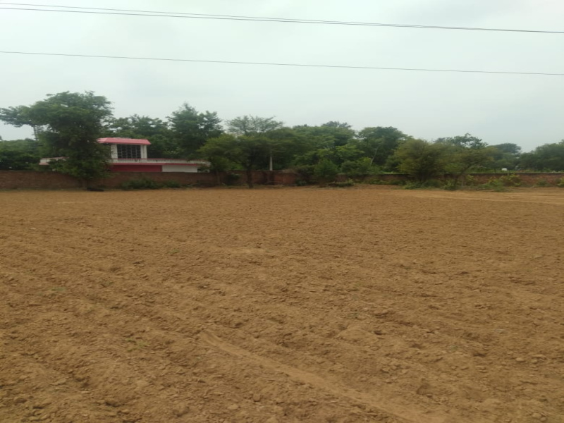 2.5 BHK Farm House 4840 Sq. Yards for Sale in Bilaspur, Gurgaon