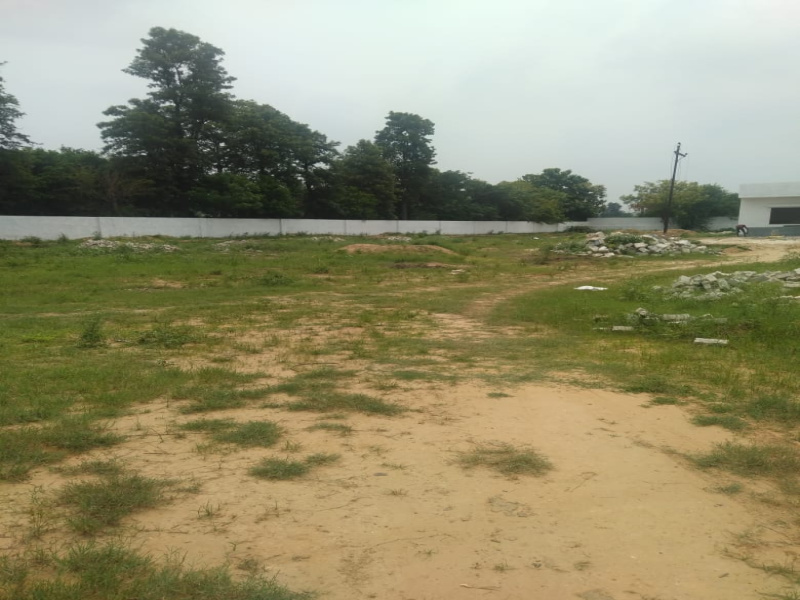 2.5 BHK Farm House 4840 Sq. Yards for Sale in Bilaspur, Gurgaon