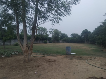  Agricultural Land for Sale in Teekli Village, Sohna, Gurgaon