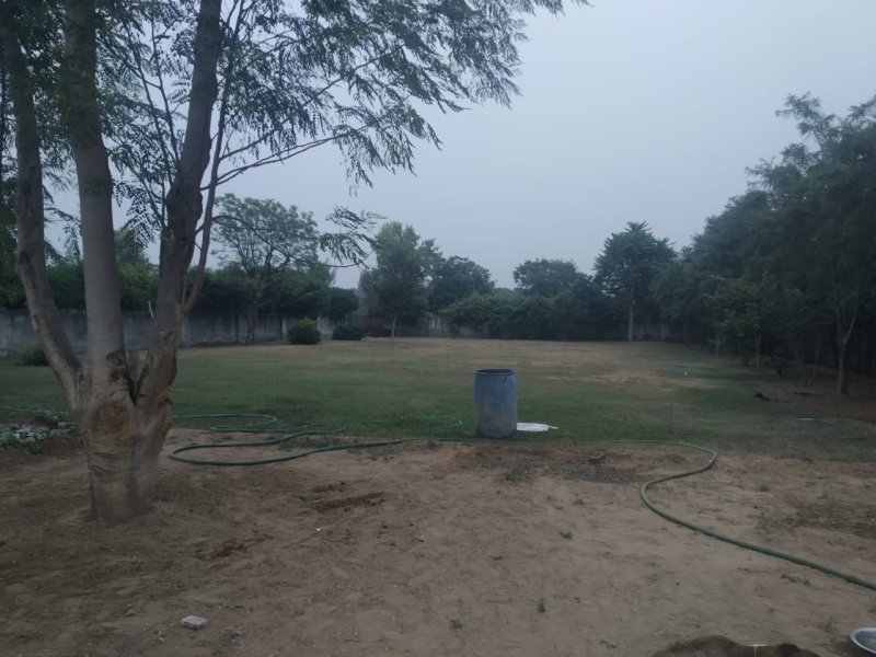 2 BHK Farm House 9680 Sq. Yards for Sale in Bhondsi, Gurgaon