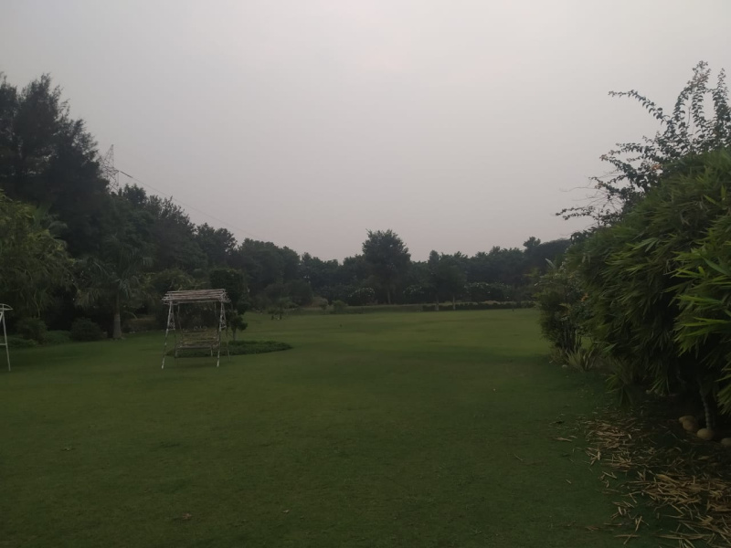  Agricultural Land 4840 Sq. Yards for Sale in Bilaspur, Gurgaon