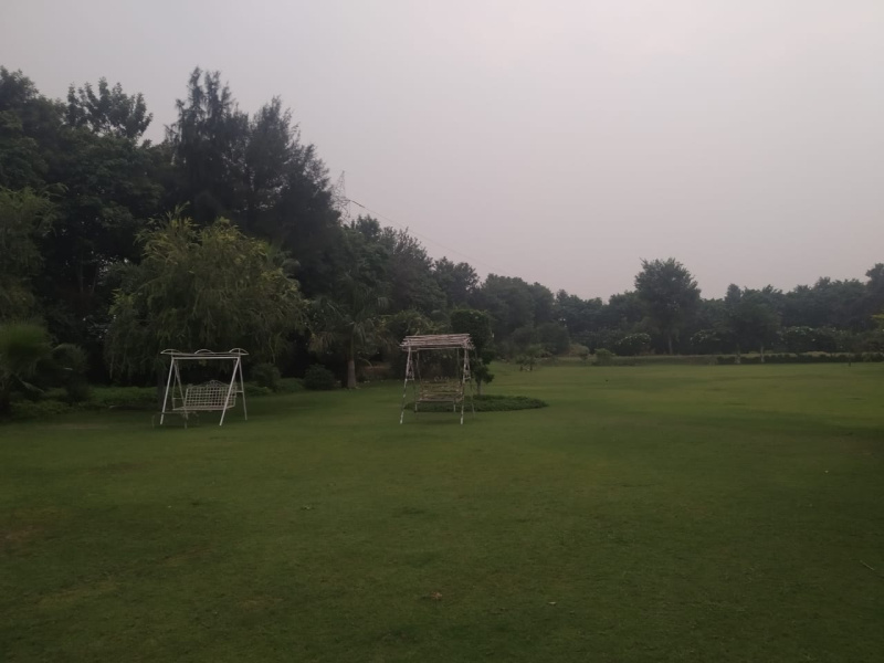  Agricultural Land 4840 Sq. Yards for Sale in Bilaspur, Gurgaon