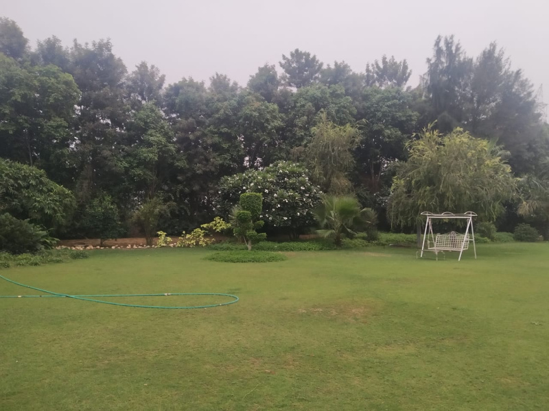  Agricultural Land 22 Acre for Sale in Farrukhnagar, Gurgaon