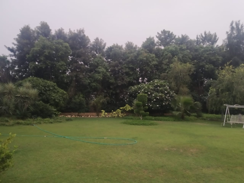  Agricultural Land 12 Acre for Sale in Pataudi, Gurgaon