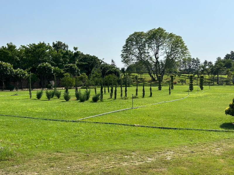  Residential Plot 62 Acre for Sale in Sector 68 Gurgaon