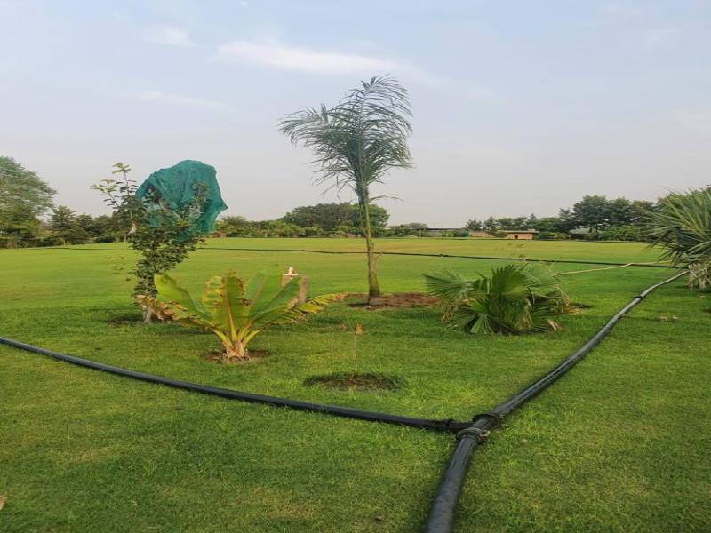  Residential Plot 62 Acre for Sale in Sector 68 Gurgaon