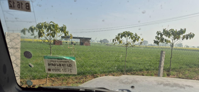  4 Bigha Agricultural/Farm Land for Sale in Jaipur Road, Behror