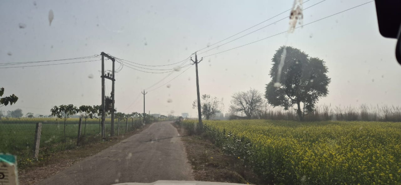  18 Bigha Agricultural/Farm Land for Sale in Kishangarh, Alwar