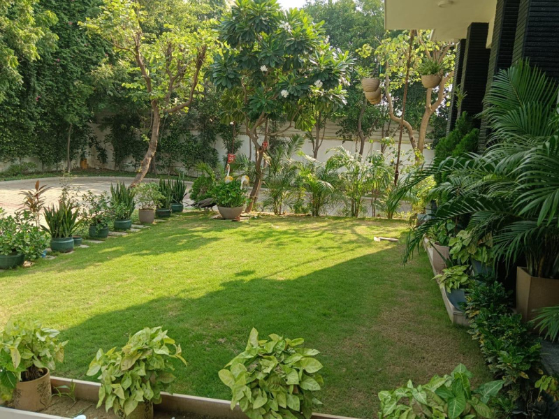  4840 Sq. Yards Agricultural/Farm Land for Sale in Gairatpur Bas, Gurgaon