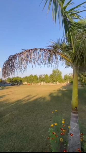  17 Acre Agricultural/Farm Land for Sale in Sohna, Gurgaon