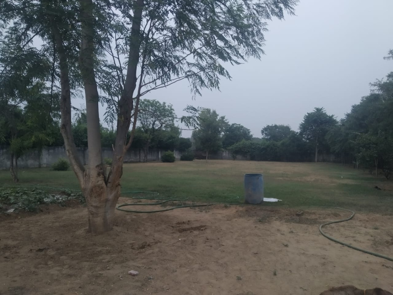  17 Ares Agricultural/Farm Land for Sale in Sohna Palwal Road, Gurgaon