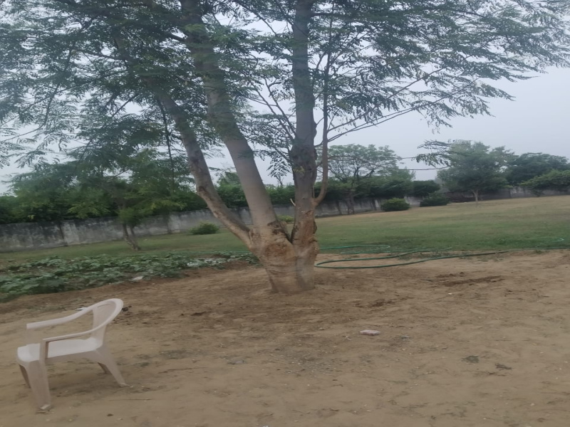  17 Ares Agricultural/Farm Land for Sale in Sohna Palwal Road, Gurgaon