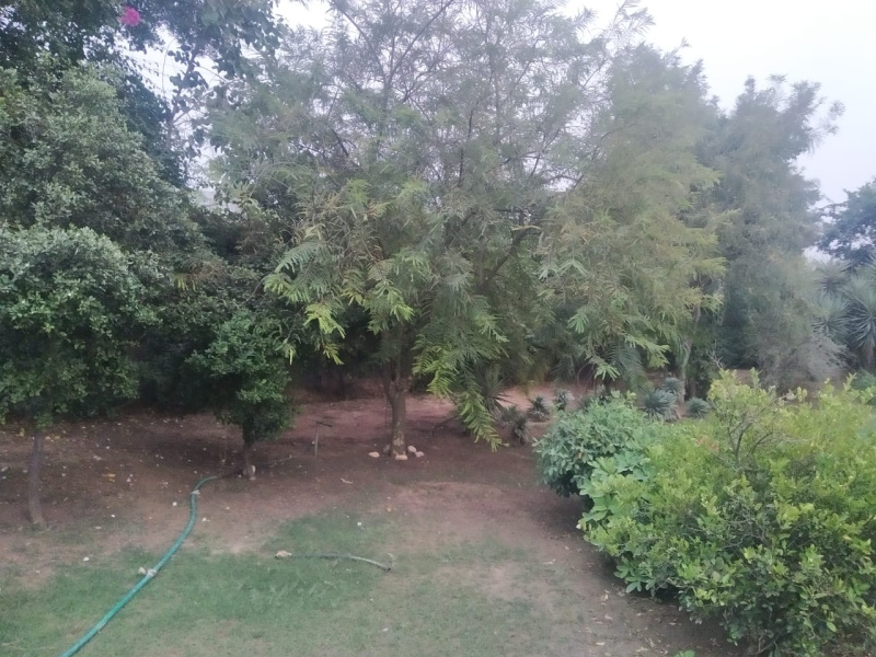  2 Ares Agricultural/Farm Land for Sale in Bhondsi, Gurgaon