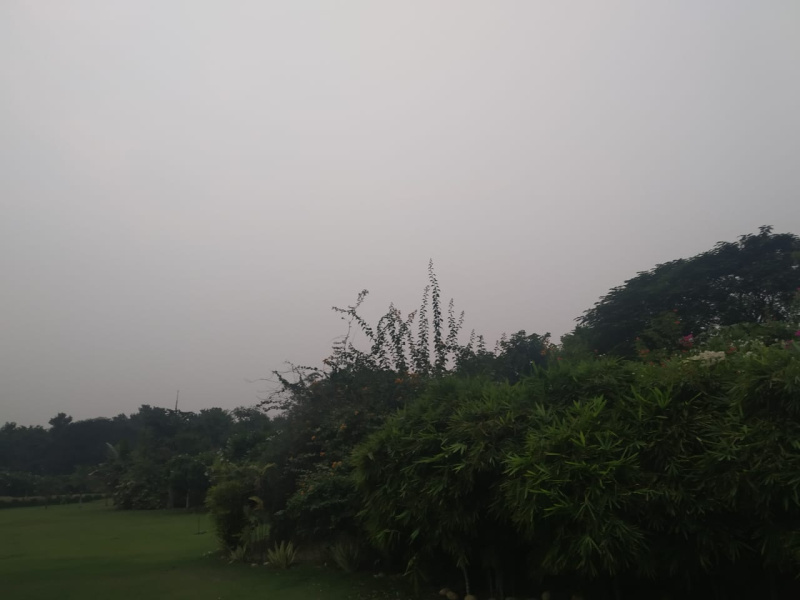  2 Ares Agricultural/Farm Land for Sale in Bhondsi, Gurgaon