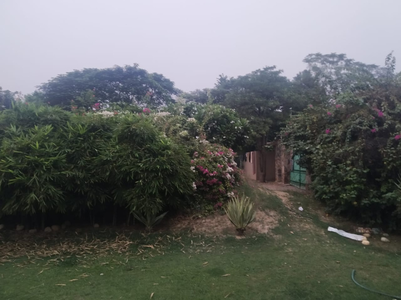  2 Ares Agricultural/Farm Land for Sale in Bhondsi, Gurgaon
