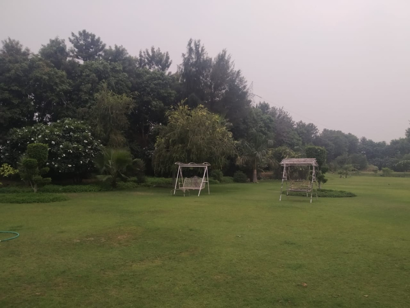  2 Ares Agricultural/Farm Land for Sale in Sohna Road, Gurgaon