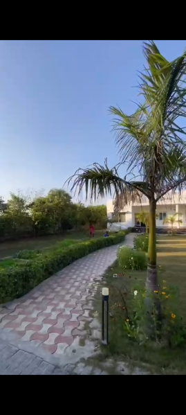  3000 Sq.ft. Agricultural/Farm Land for Sale in Sohna, Gurgaon