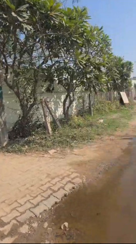 1 BHK 4840 Sq. Yards Farm House for Sale in Sohna Road, Gurgaon