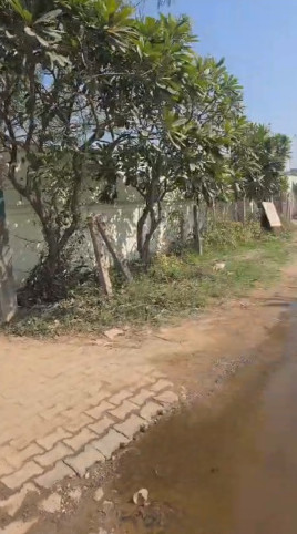  4840 Sq. Yards Agricultural/Farm Land for Sale in Teekli Village, Sohna, Gurgaon