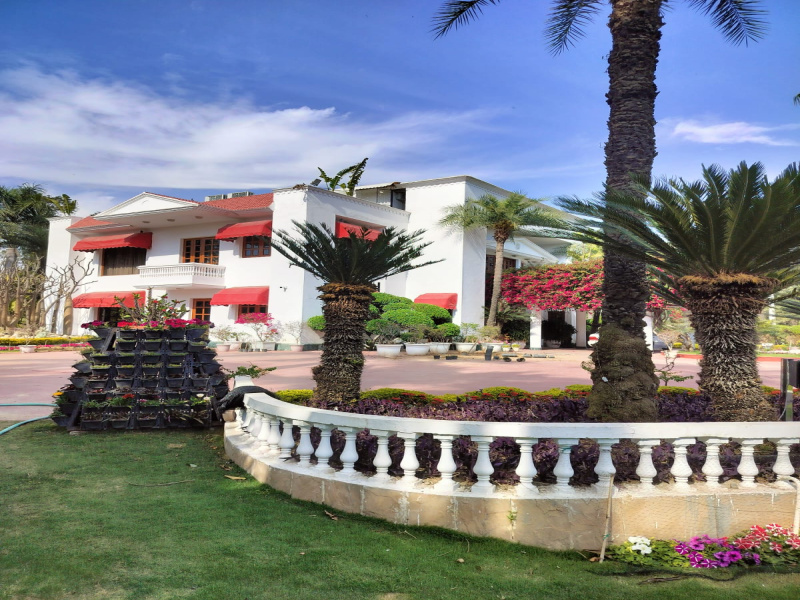  3 Acre Agricultural/Farm Land for Sale in Teekli Village, Sohna, Gurgaon