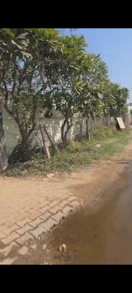 2 BHK 2 Acre Farm House for Sale in Bhondsi, Gurgaon