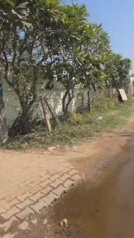 2 BHK 4840 Acre Farm House for Sale in Sohna, Gurgaon