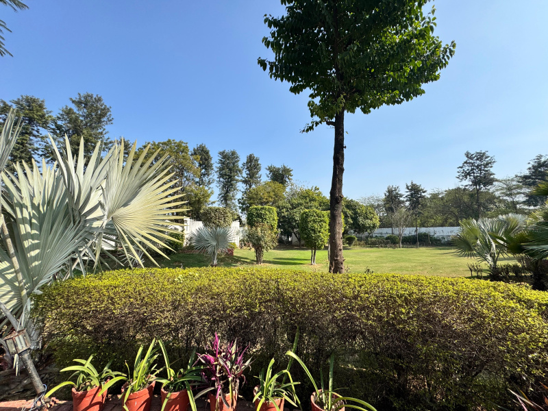  1 Ares Agricultural/Farm Land for Sale in Teekli Village, Sohna, Gurgaon