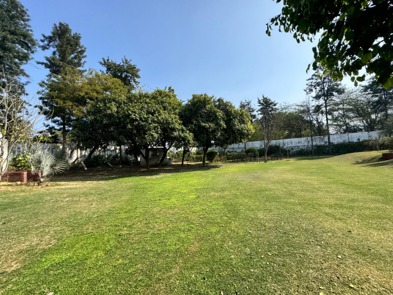  1 Ares Agricultural/Farm Land for Sale in Teekli Village, Sohna, Gurgaon