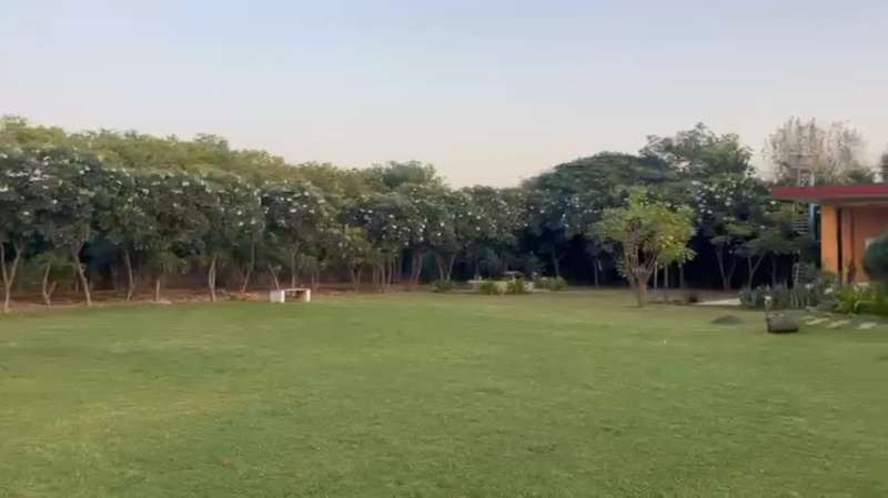 Bhaproda, Jhajjar photo 4
