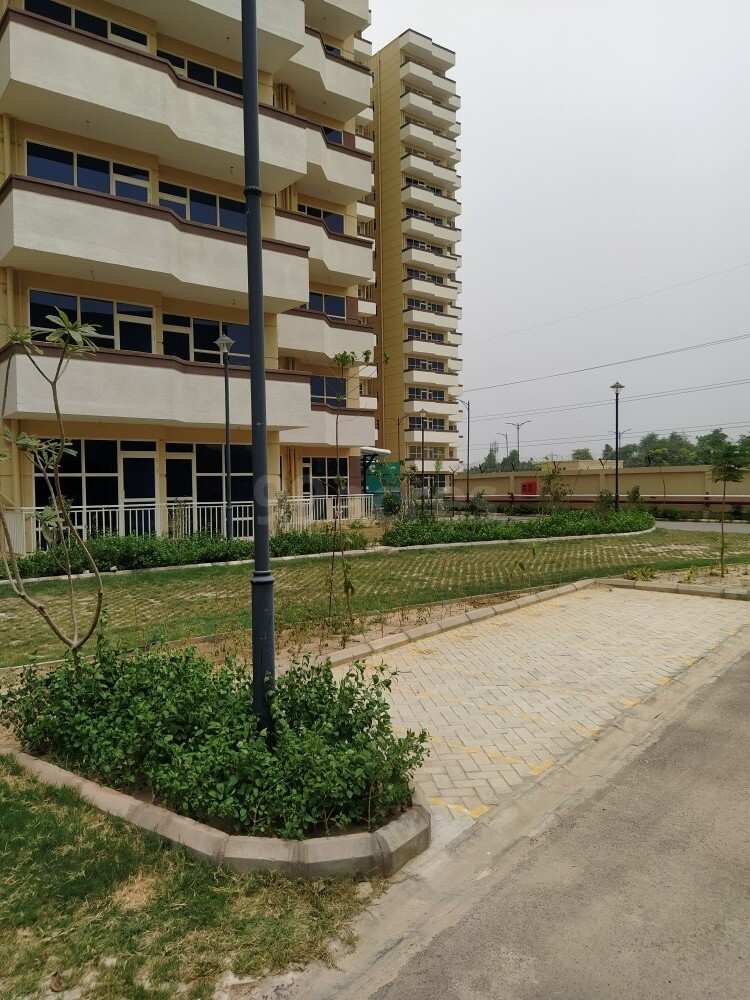 2 BHK Apartment 590 Sq.ft. For Rent In Sector 67A Gurgaon (REI1071086)