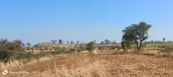  Agricultural Land for Sale in Shirur, Pune