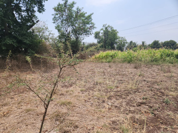  Agricultural Land for Sale in Talegaon, Pune