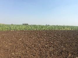  Agricultural Land for Sale in Talegaon, Pune