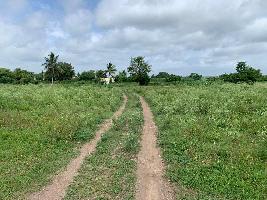  Agricultural Land for Sale in Pimple, Pune