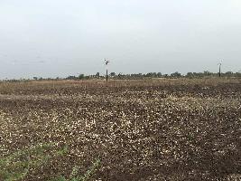  Agricultural Land for Sale in Kondhanpur, Pune